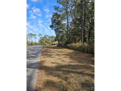 Are you looking to build a home? This beautiful property might - photo 4