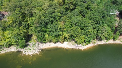 Lake Lot For Sale in Arley, Alabama