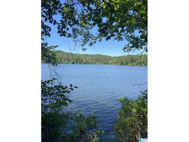 TWO LOTS (2.110+/- acres) with approximately 312+/- feet of - photo 1