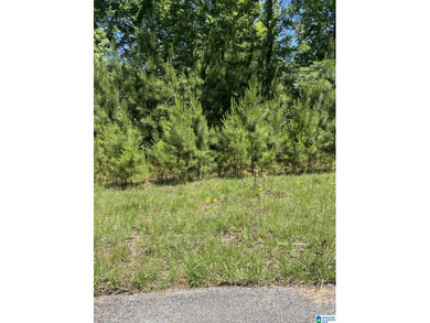 TWO LOTS (2.110+/- acres) with approximately 312+/- feet of - photo 2