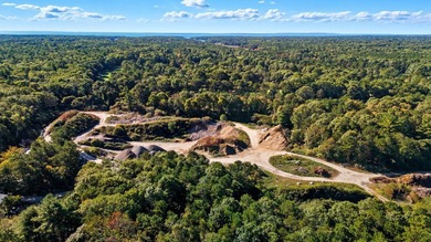 This truly exceptional 11.79-acre parcel in East Falmouth offers - photo 13