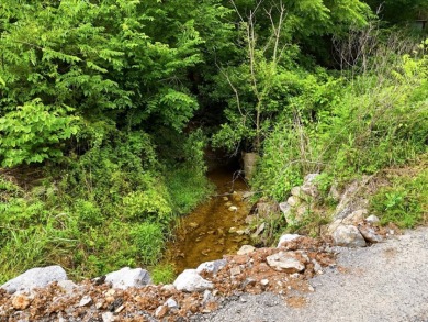 Cleared, Level, Unrestricted Lot - photo 4
