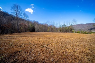 Lake Santeetlah Lot For Sale in Robbinsville North Carolina