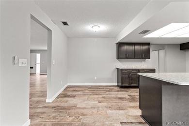 This beautifully remodeled home is right in the HEART of golf - photo 28