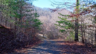 Lake Santeetlah Lot For Sale in Robbinsville North Carolina