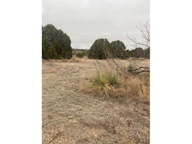 Lake Tanglewood Acreage For Sale in Canyon Texas