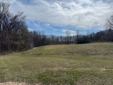 Beautiful gently rolling building lot close to Peninsula and Dam - photo 3