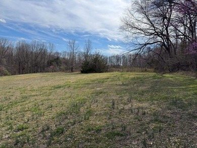 Beautiful gently rolling building lot close to Peninsula and Dam - photo 7