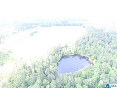 878+/- Acres Development Tract with 3 access points. 1st access - photo 3