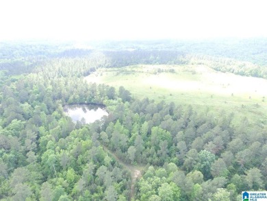 878+/- Acres Development Tract with 3 access points. 1st access - photo 4