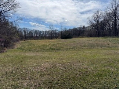 Beautiful gently rolling building lot close to Peninsula and Dam - photo 4