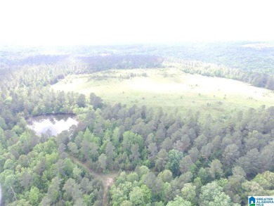 878+/- Acres Development Tract with 3 access points. 1st access - photo 5