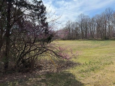 Beautiful gently rolling building lot close to Peninsula and Dam - photo 5