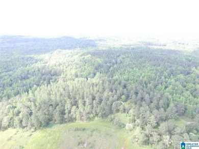 878+/- Acres Development Tract with 3 access points. 1st access - photo 6