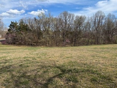Beautiful gently rolling building lot close to Peninsula and Dam - photo 6