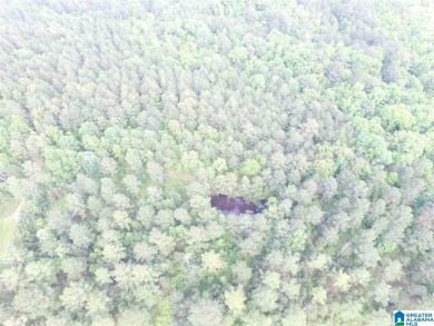 878+/- Acres Development Tract with 3 access points. 1st access - photo 7