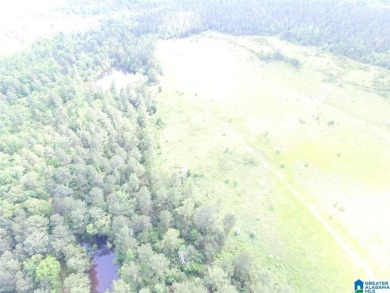 878+/- Acres Development Tract with 3 access points. 1st access - photo 8
