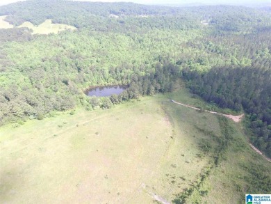 878+/- Acres Development Tract with 3 access points. 1st access - photo 9