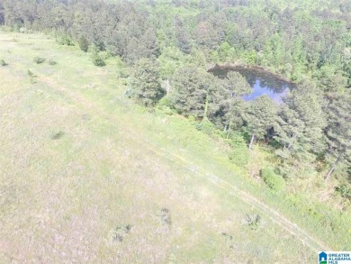 878+/- Acres Development Tract with 3 access points. 1st access - photo 10
