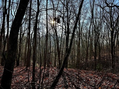 (private lake, pond, coastal) Lot For Sale in Murphy North Carolina