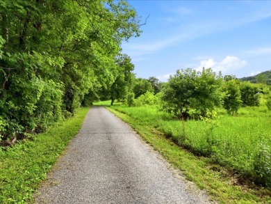 Cleared, Level, Unrestricted Lot - photo 3