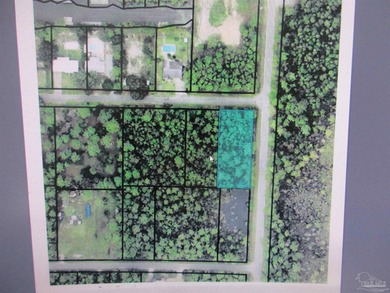 Blackwater River Lot For Sale in Milton Florida