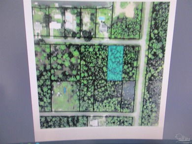 Blackwater River Lot For Sale in Milton Florida