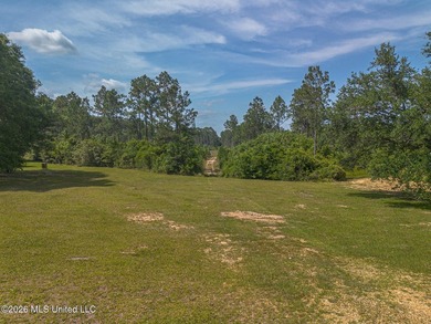 This undeveloped land poses a wonderful opportunity for a dream - photo 2