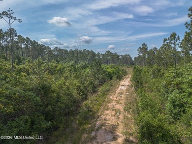 This undeveloped land poses a wonderful opportunity for a dream - photo 3