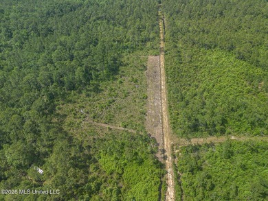 This undeveloped land poses a wonderful opportunity for a dream - photo 4