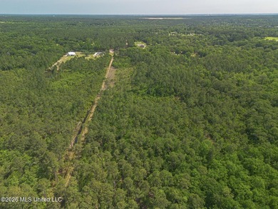 This undeveloped land poses a wonderful opportunity for a dream - photo 6
