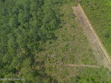 This undeveloped land poses a wonderful opportunity for a dream - photo 7