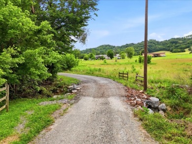 Cleared, Level, Unrestricted Lot - photo 2