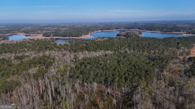 (private lake, pond, coastal) Acreage For Sale in Lanett Alabama