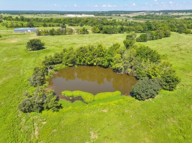 Grand Lake O the Cherokees Home For Sale in Afton Oklahoma
