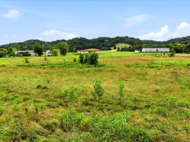 Cleared, Level, Unrestricted Lot - photo 15