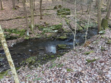 Lake Acreage For Sale in Damascus, Pennsylvania