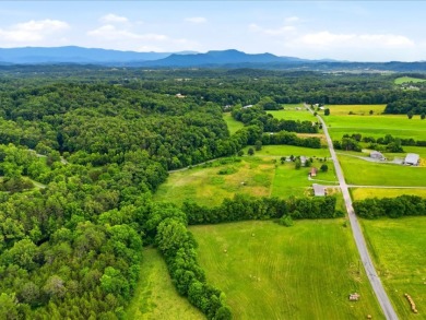 Cleared, Level, Unrestricted Lot - photo 23