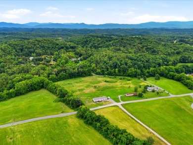 Cleared, Level, Unrestricted Lot - photo 24