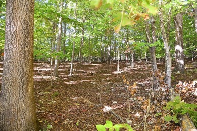 Welcome to Heron Landing. This lot is ready for its next owner - photo 12