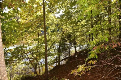 Welcome to Heron Landing. This lot is ready for its next owner - photo 13