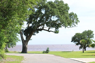 This home features an open floor plan, lots of shade from the - photo 3
