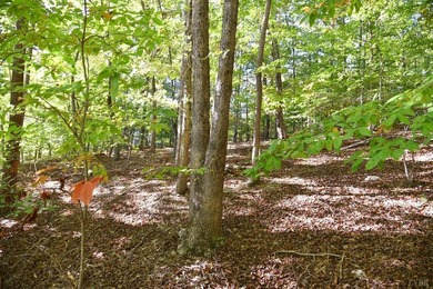 Welcome to Heron Landing. This lot is ready for its next owner - photo 14