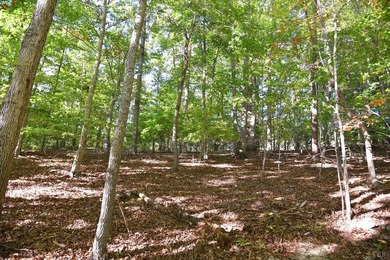 Welcome to Heron Landing. This lot is ready for its next owner - photo 15