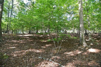 Welcome to Heron Landing. This lot is ready for its next owner - photo 16