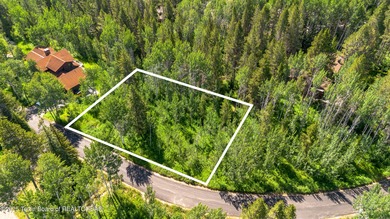 Snake River Lot For Sale in Wilson Wyoming