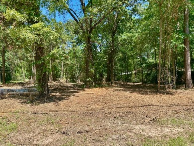 Lake Front Lot - photo 2