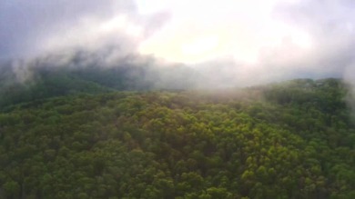 (private lake, pond, creek) Lot Sale Pending in Spring City Tennessee