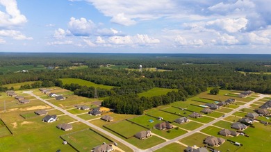 This 60+- acre property offers endless possibilities-ideal for - photo 2