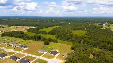 This 60+- acre property offers endless possibilities-ideal for - photo 3